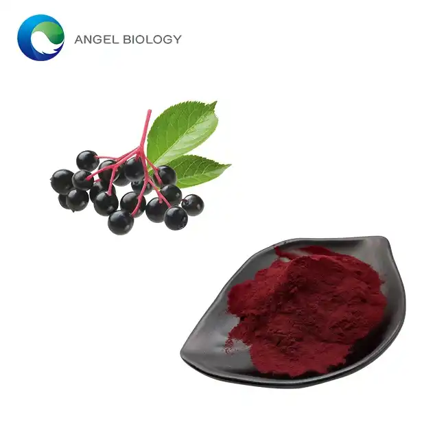 Black Elderberry Extract Powder